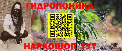 индика Пыть-Ях