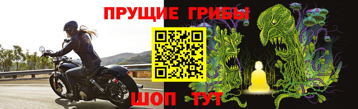 Пугачёв  Псилоцибиновые грибы GOLDEN TEACHER  Вход с VPN  Псилоцибиновые грибы Magic Shrooms 